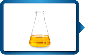 Lactic acid bacteria strain overnight culture Lactic acid bacteria strain overnight culture